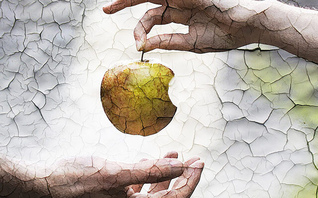 Что было раньше: яблочко или Apple?
