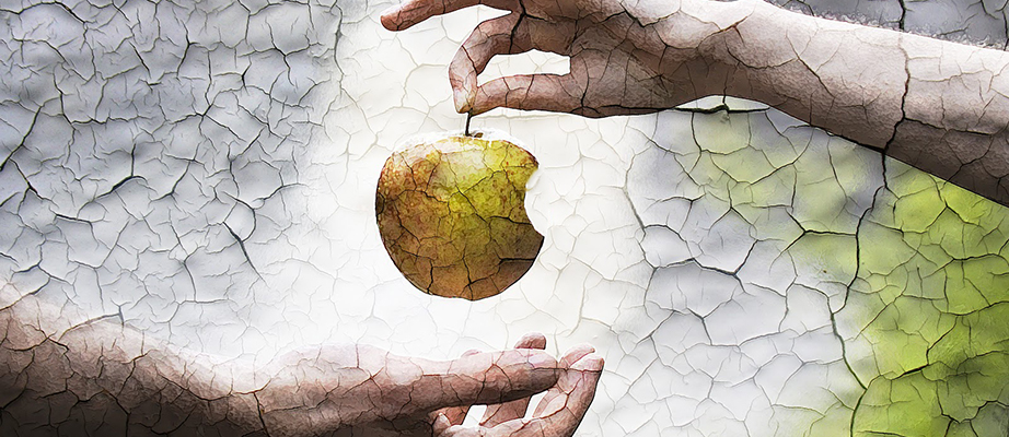 Что было раньше: яблочко или Apple?